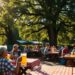 Biergarten mit Geschichte: Wo Radler mehr als nur ein Getränk ist 8 Traditioneller Biergarten Bayern