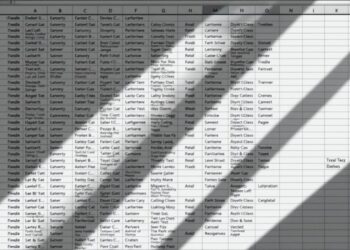 excel-text-in-spalten-geht-nicht